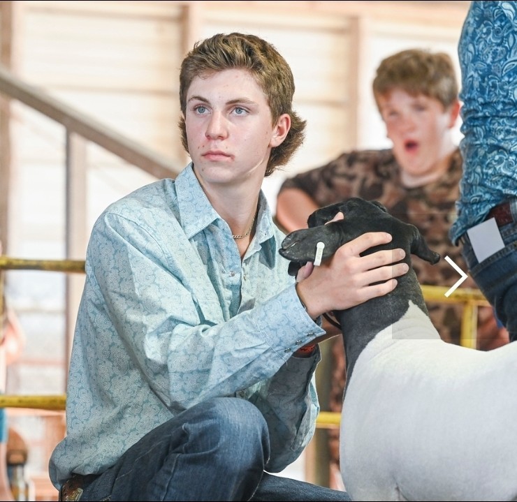 student with livestock