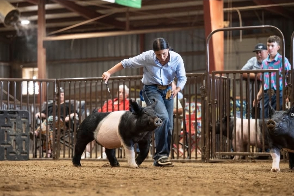 student with livestock