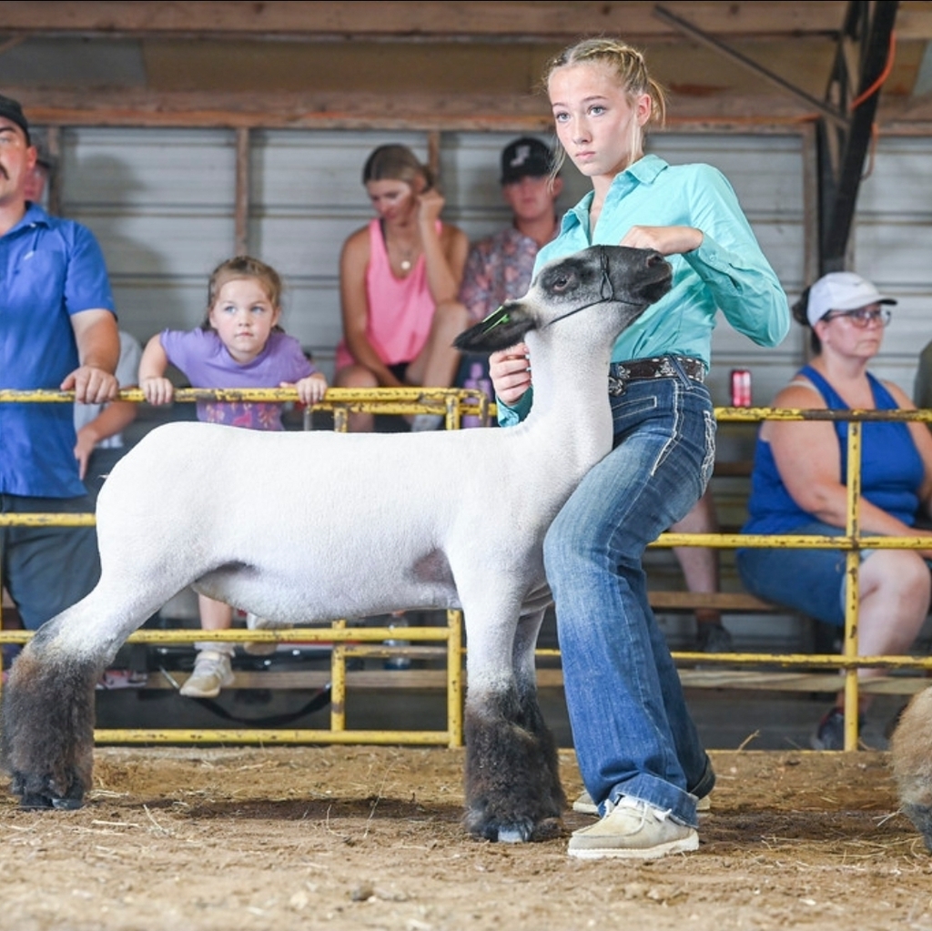 student with livestock