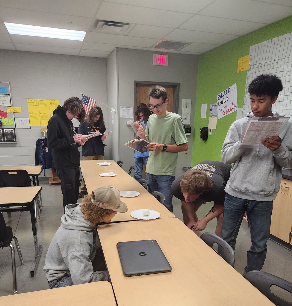 students studying eggs on a plate