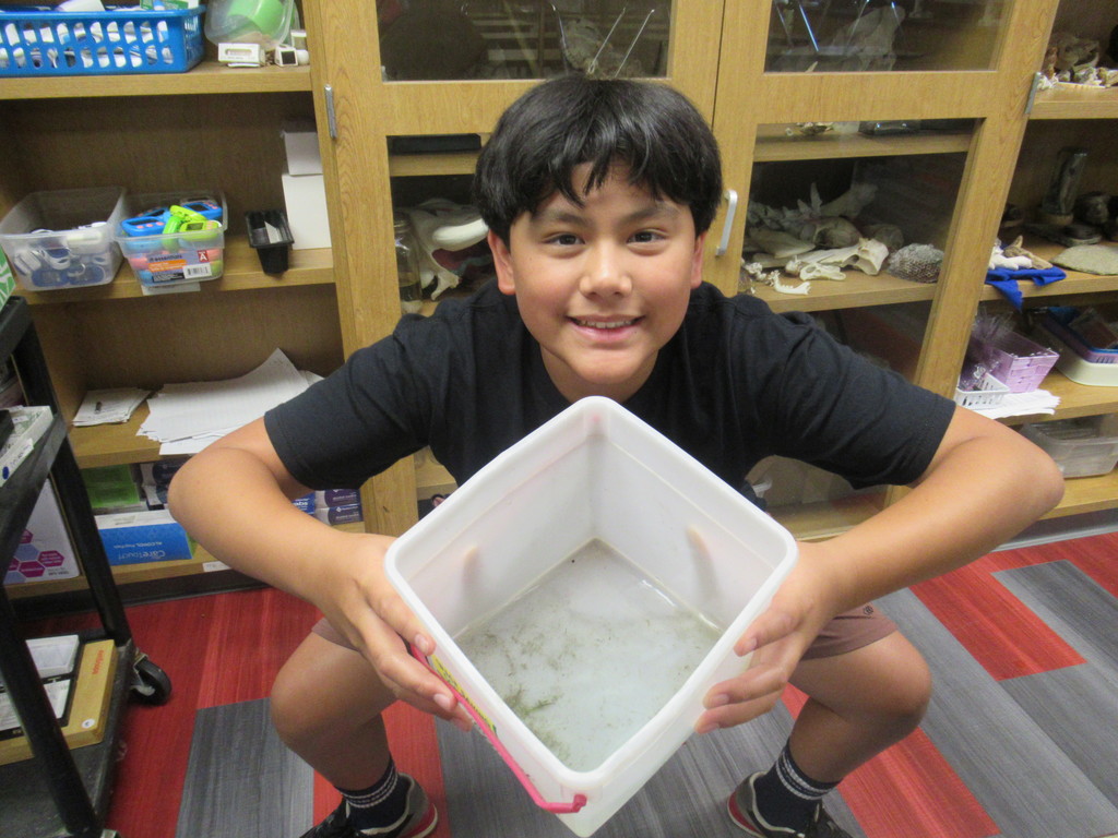 kid squating holding a small bucket of pond water
