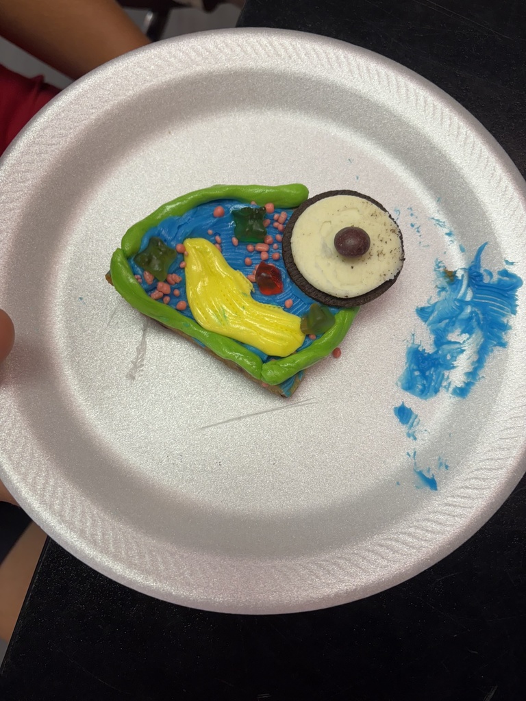 Closeup of a "cookie cell"