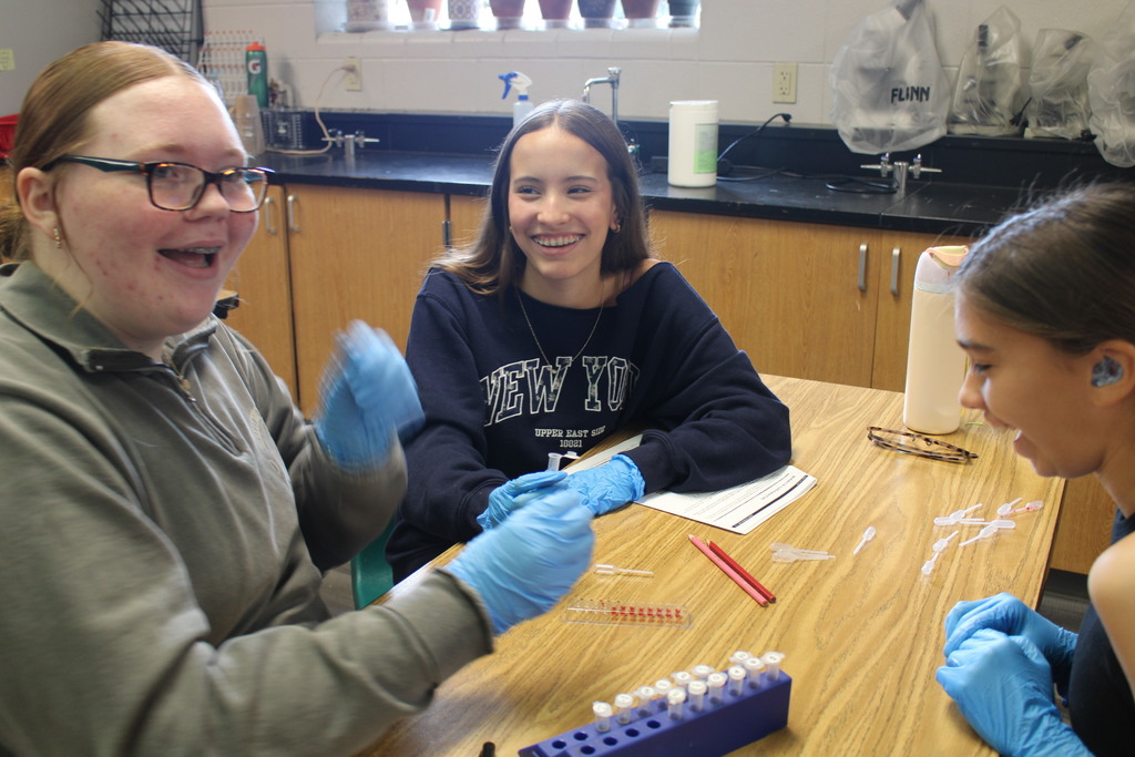  students do a lab in biomed