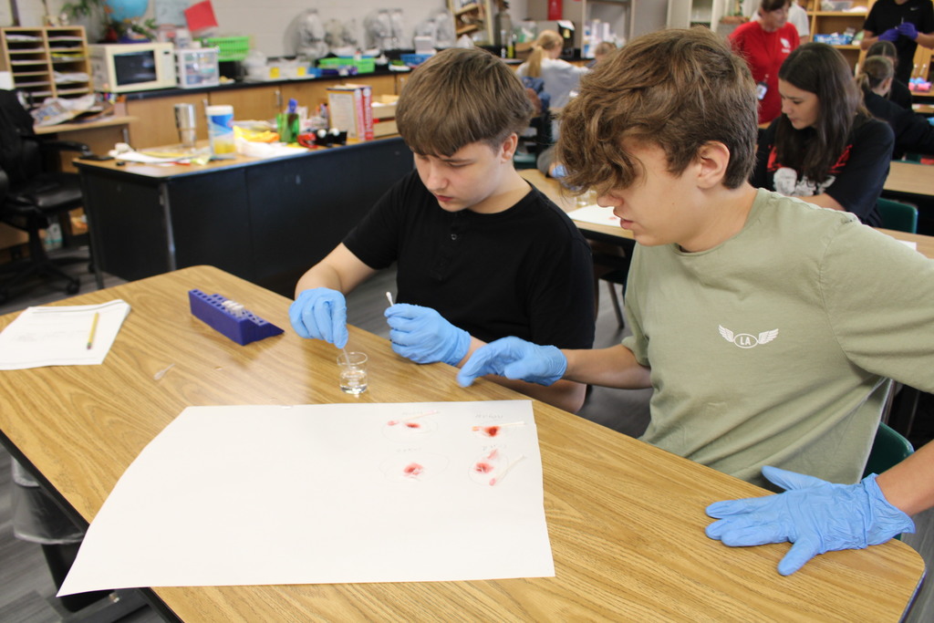  students do a lab in biomed