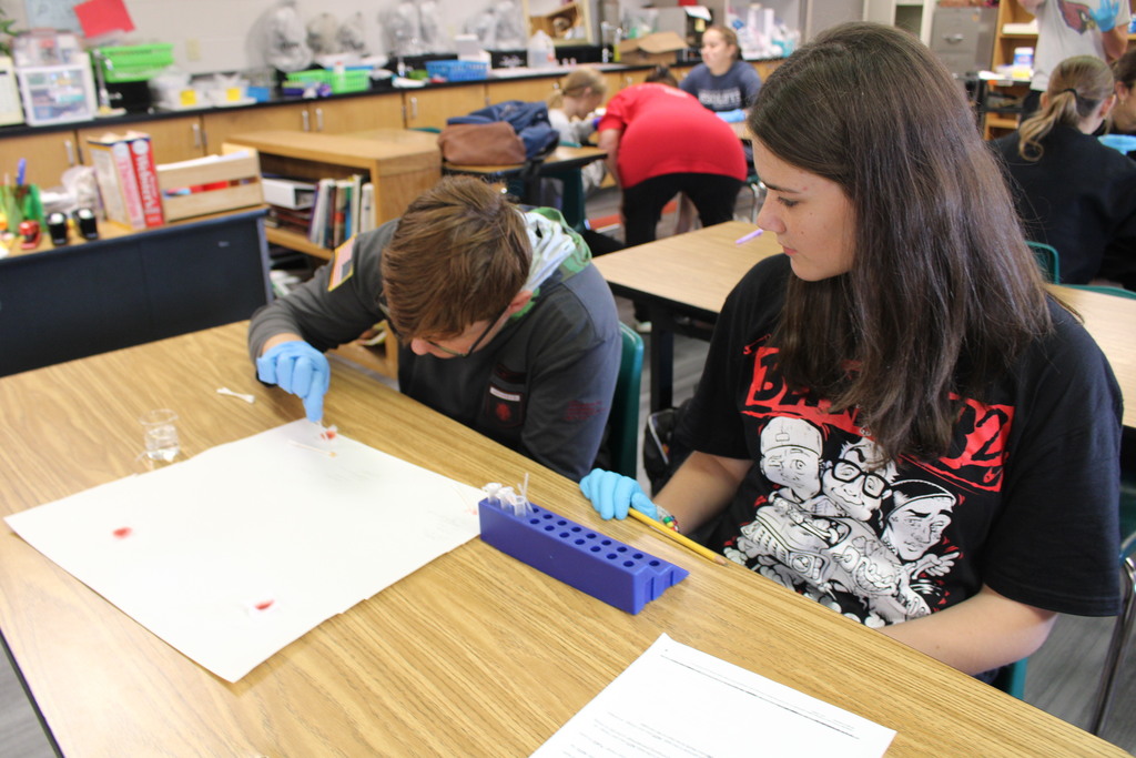  students do a lab in biomed