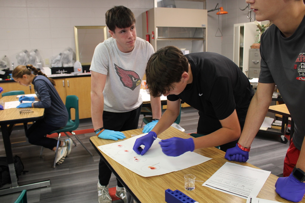  students do a lab in biomed