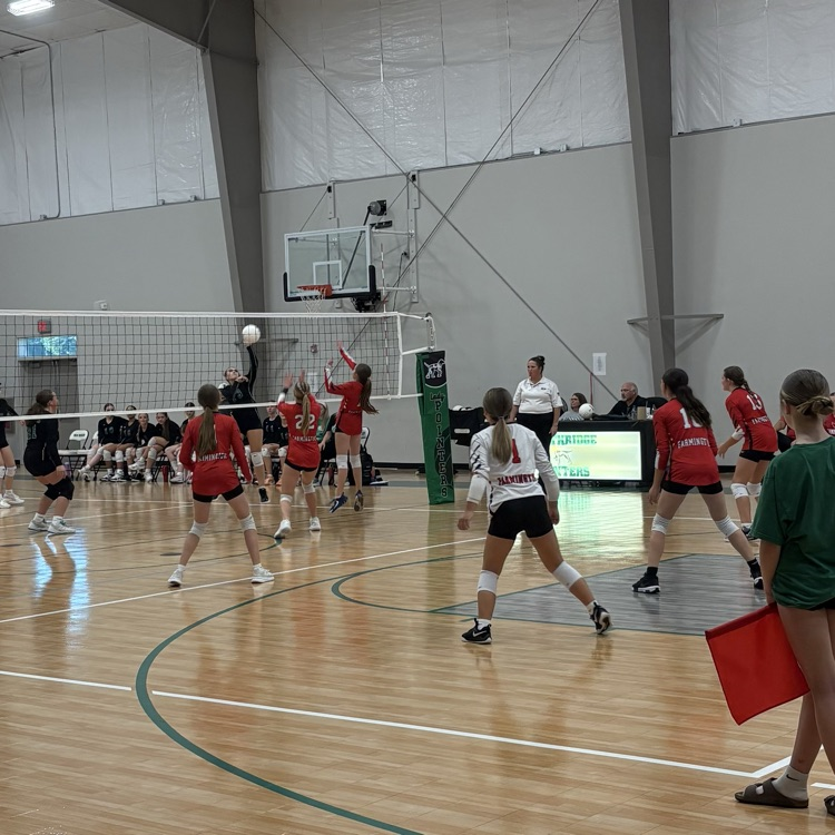 volleyball 