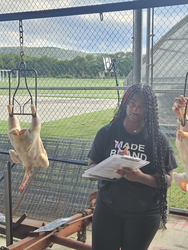 student judging chickens