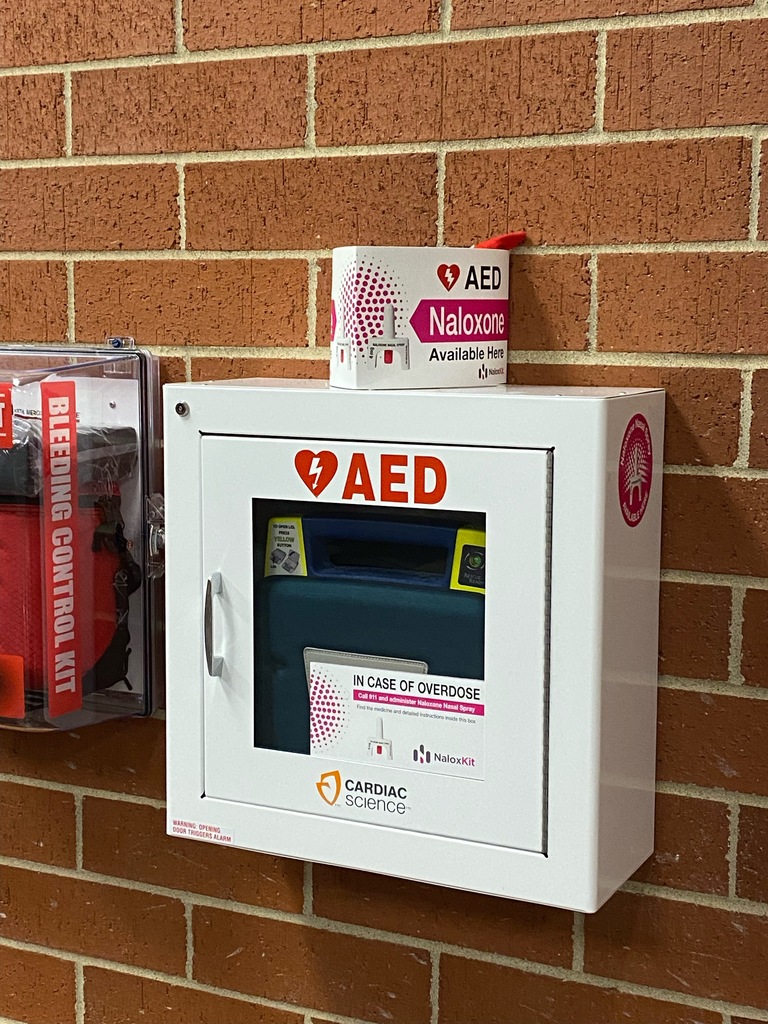 picture of elf hiding