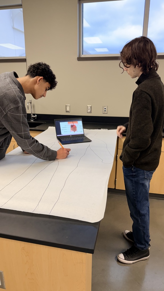 students drawing on paper 