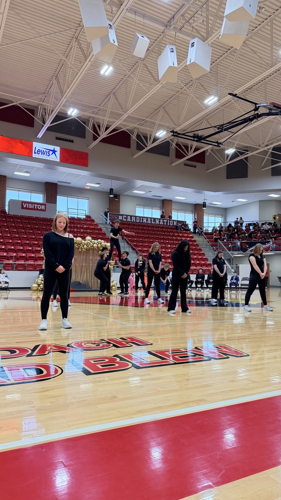 dance team performing on court
