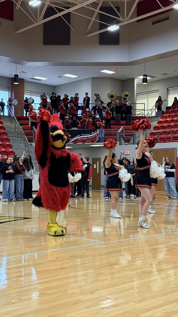 cheerleaders and mascot cheering on court 
