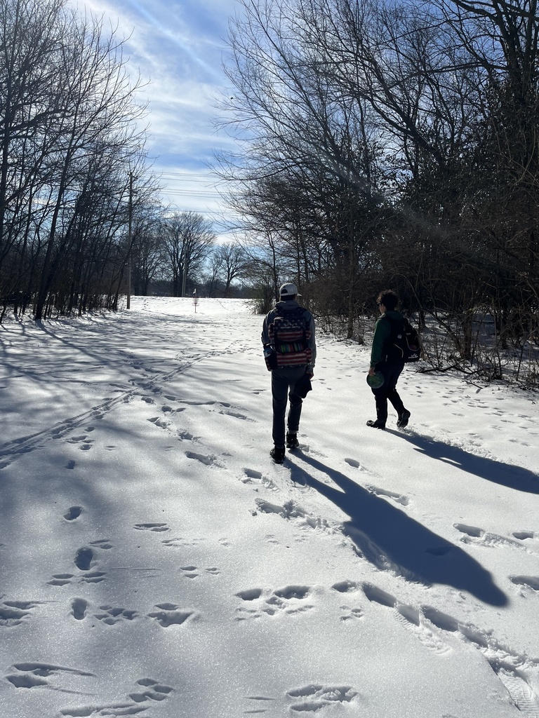 students walking a snowy disc golf course