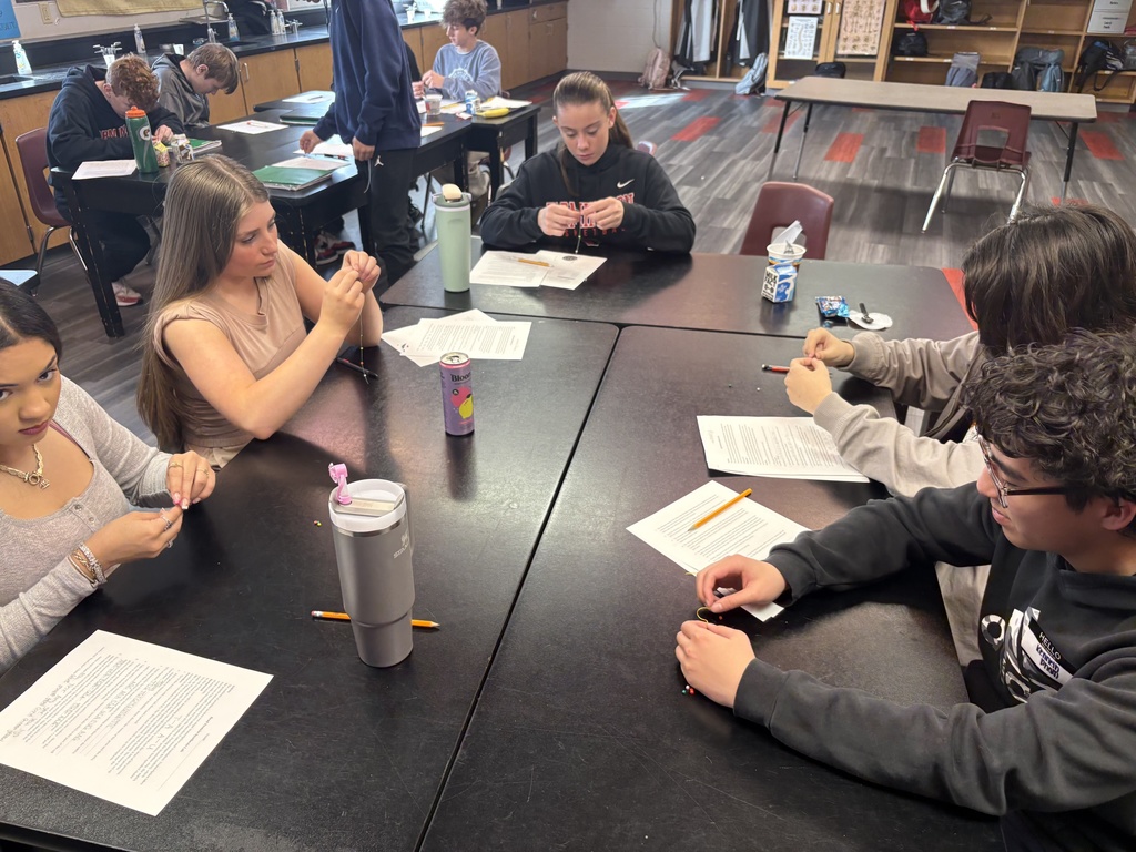 Advanced Biology students making bracelets
