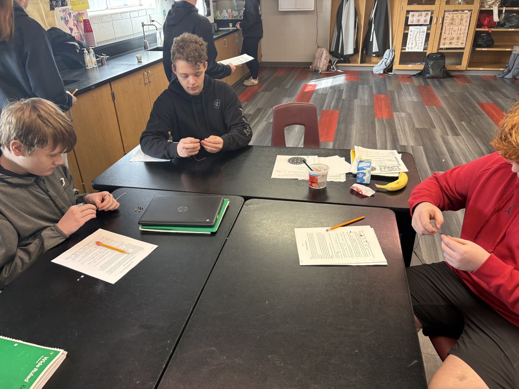 Advanced Biology students making bracelets