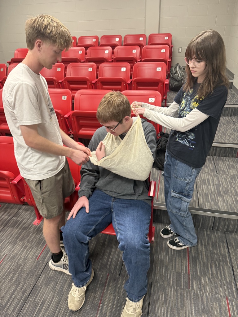 students fake splinting another student