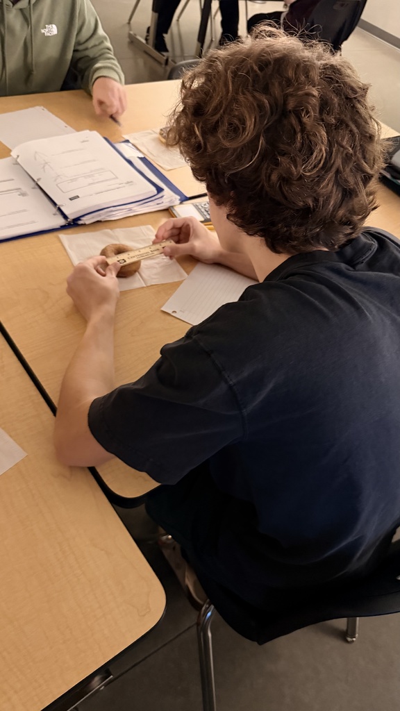 student measuring a donut