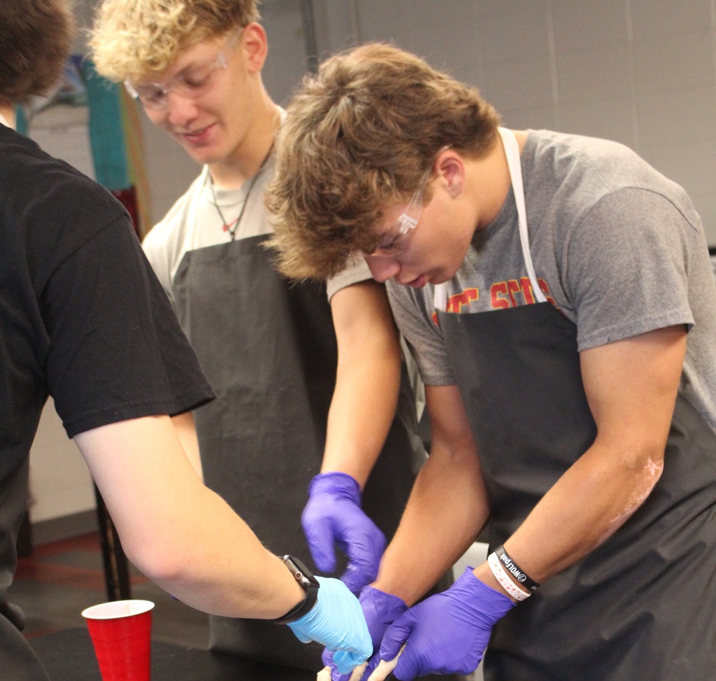 Students participating in pig dissection day in Mrs. Maxwell's class