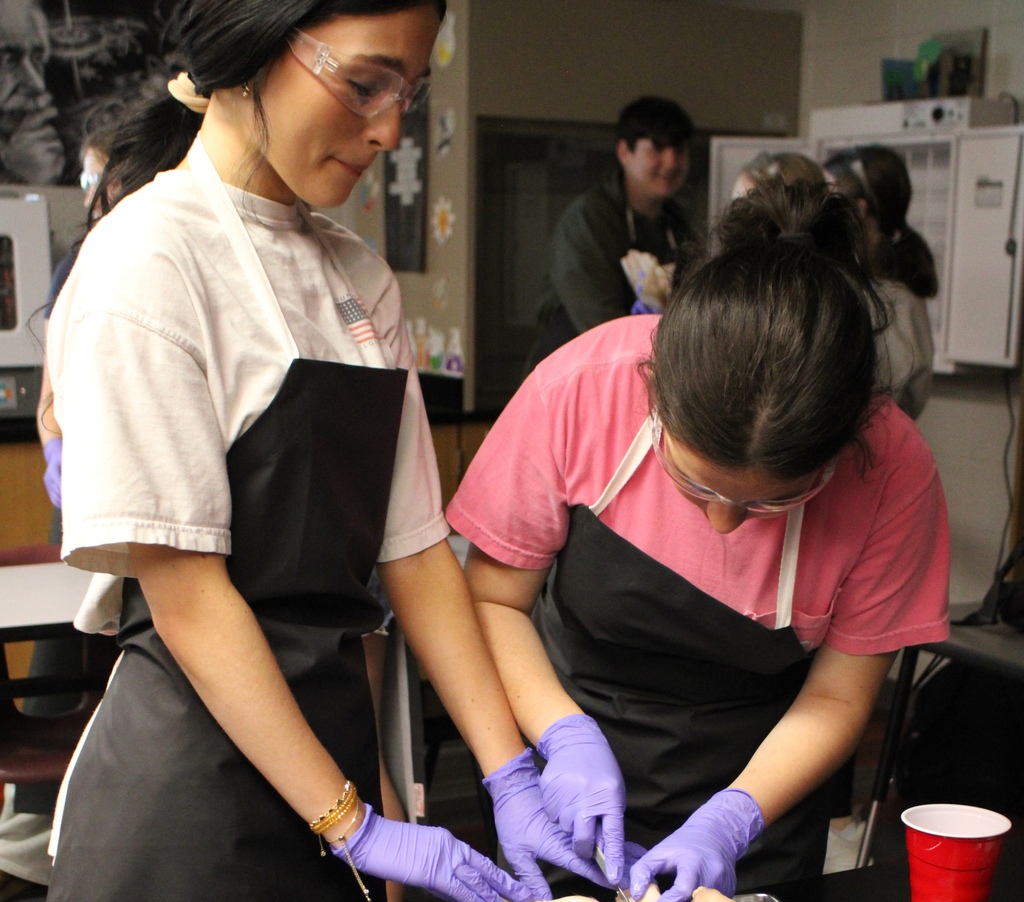 Students participating in pig dissection day in Mrs. Maxwell's class