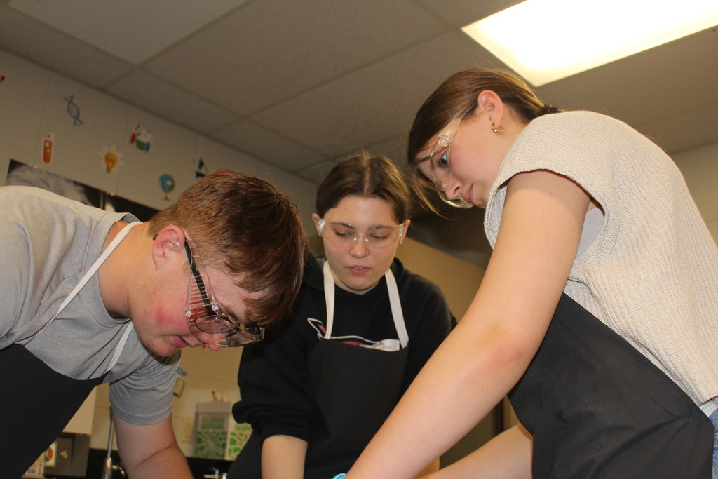 Students participating in pig dissection day in Mrs. Maxwell's class