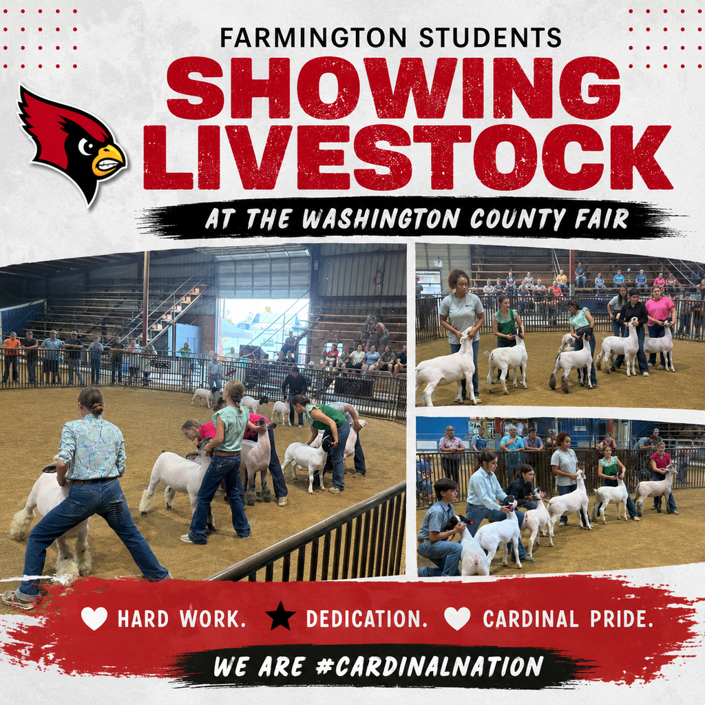 A collage of students showing livestock at the Washington County Fair. It includes a cardinal mascot.