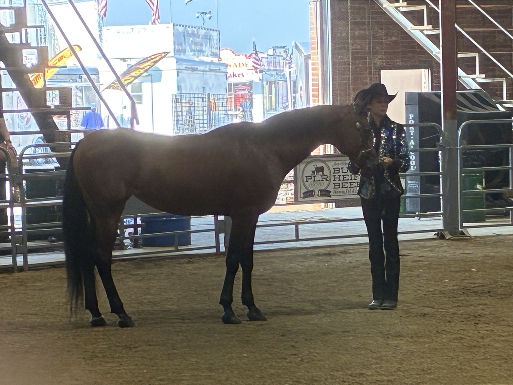 A brown horse stands in an arena, next to a person wearing a hat and gloves. Behind the horse, stairs and a fence are visible.