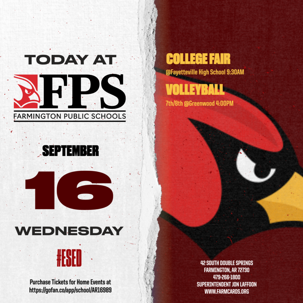 Event poster with white background. Red and yellow bird logo, "College Fair Volleyball" text, and contact details.