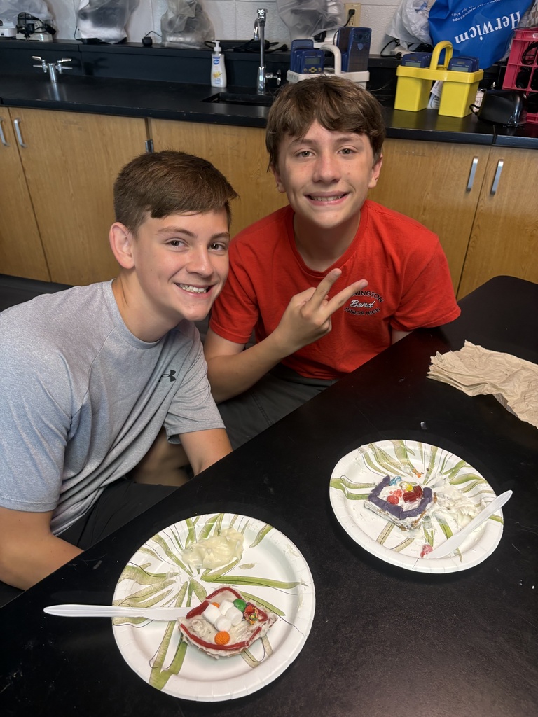 Two young boys sitting at a table with dessert plates in front of them. Behind them is a kitchen area with cabinets and yellow baskets.