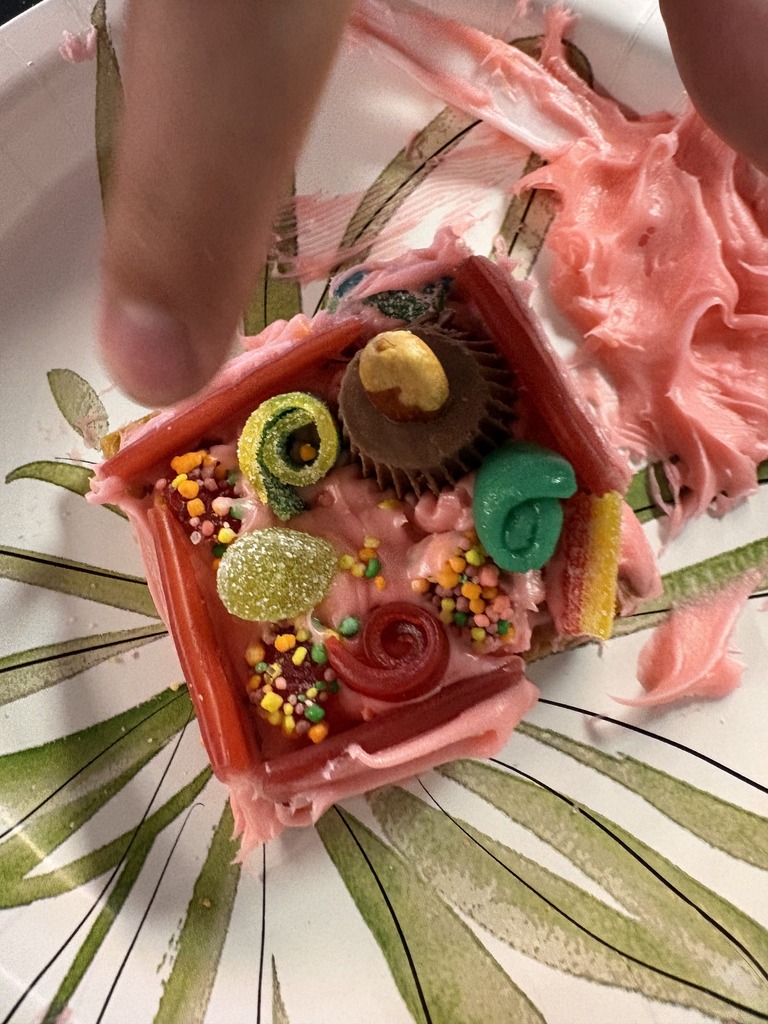 A finger holds a pink edible creation resembling a birdhouse with candies and sprinkles on a white plate with a green leaf design.