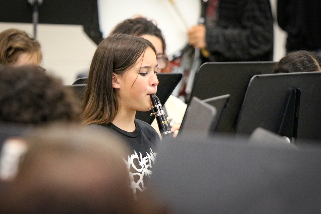 A girl plays a clarinet among other musicians. The musical instruments are set on stands.
