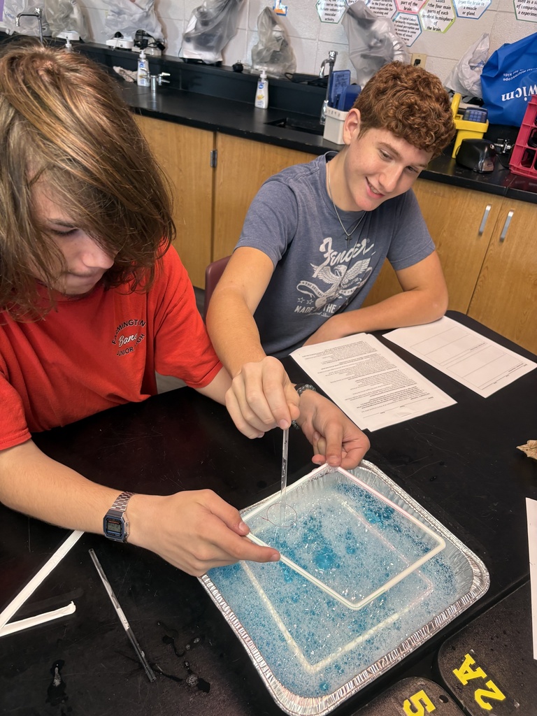Two students at a table in a lab, one with red shirt, one with gray shirt, both focused on a blue liquid in a tray.