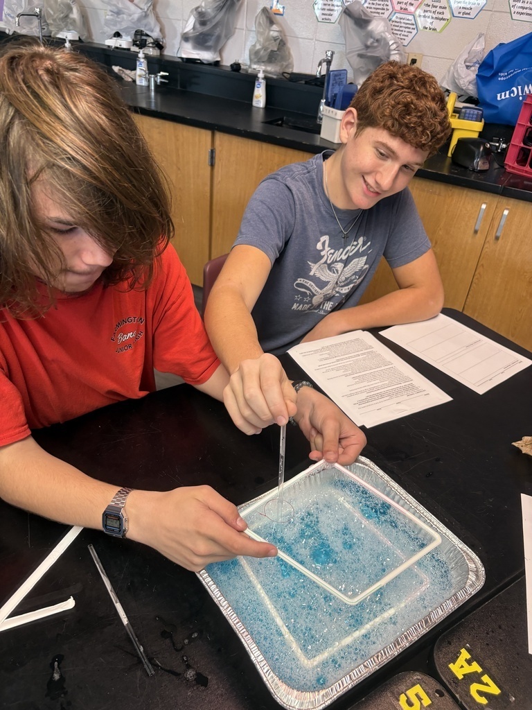 Two students at a table in a lab, one with red shirt, one with gray shirt, both focused on a blue liquid in a tray.