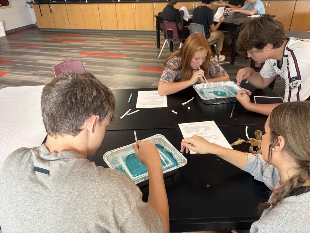 Four students in a classroom work on a science project at a table. Trays with blue liquid are in front of them.