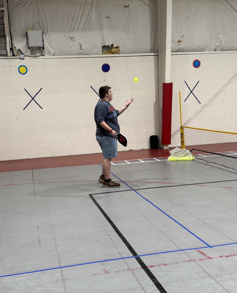 Person in shorts and a T-shirt playing ping pong on a court with blue and red lines.