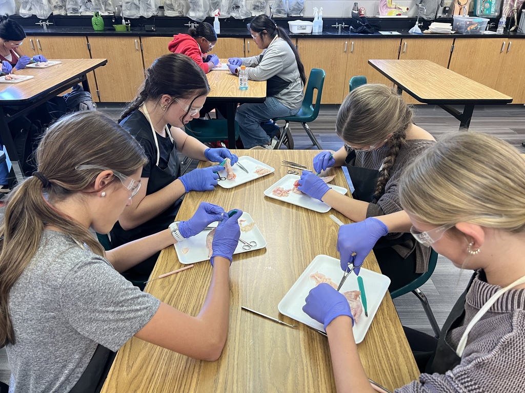 A group of young women in a classroom, wearing gloves, working on projects at tables.