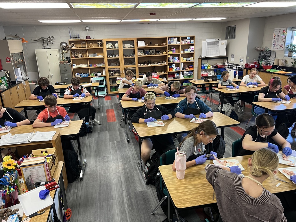 Students wearing gloves in a classroom. Some sit at tables while others stand. Various items are on the tables.