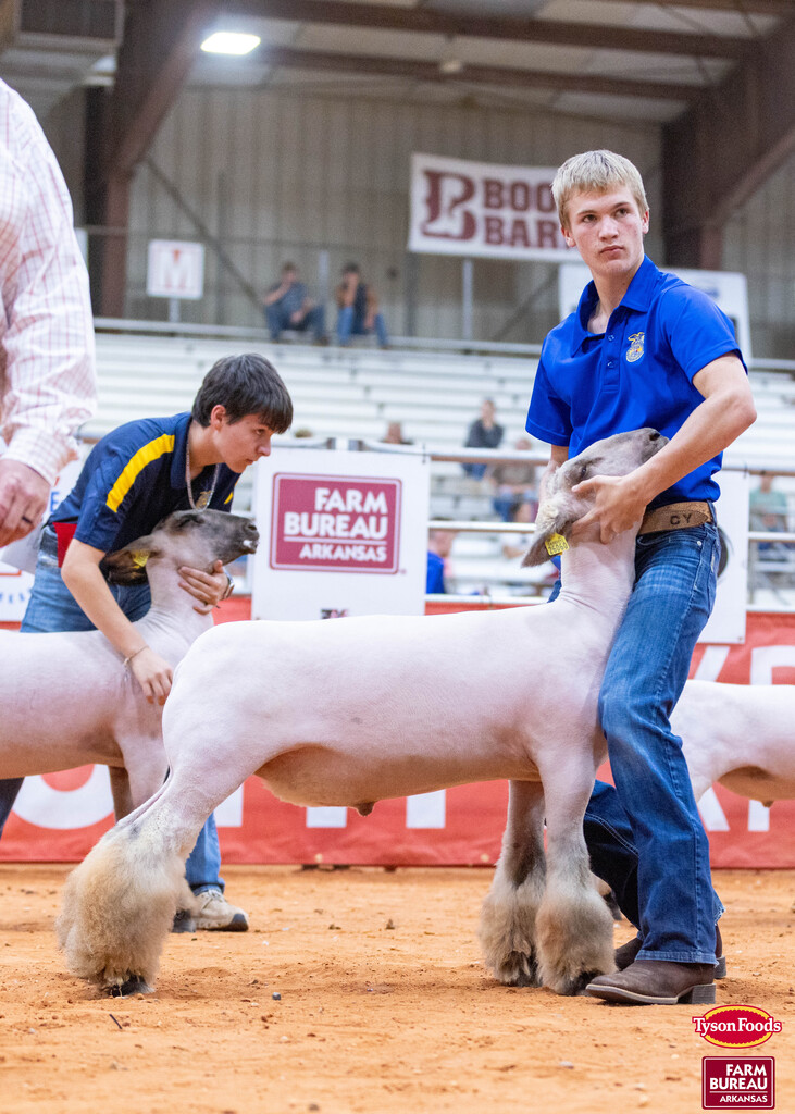 Two young men, one in a blue shirt and the other in a yellow shirt, hold a white lamb.