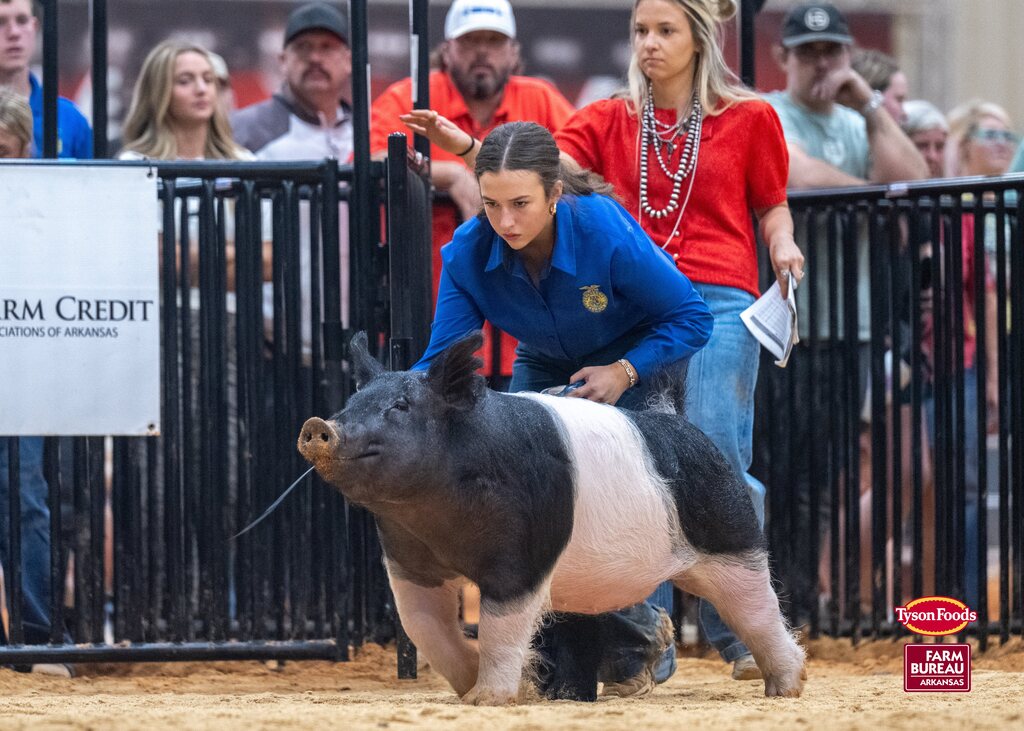 A woman shows a pig at a fair. People stand behind a fence to watch. The fence has a banner.