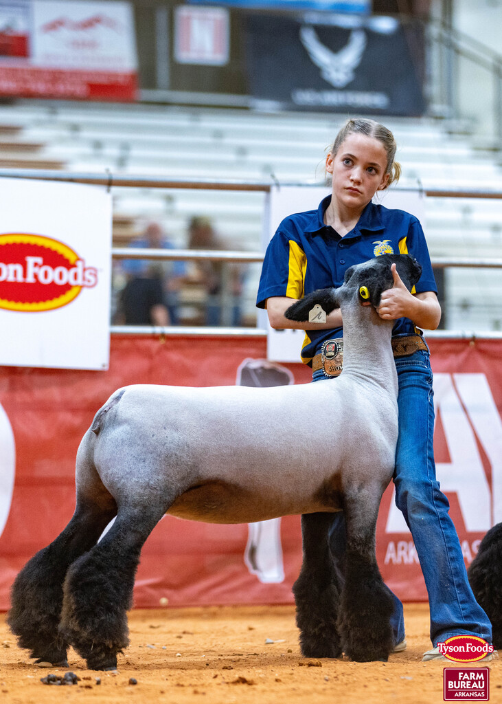 A girl in a blue shirt and jeans holds a gray sheep at an indoor event. Behind her is a red banner with white text.