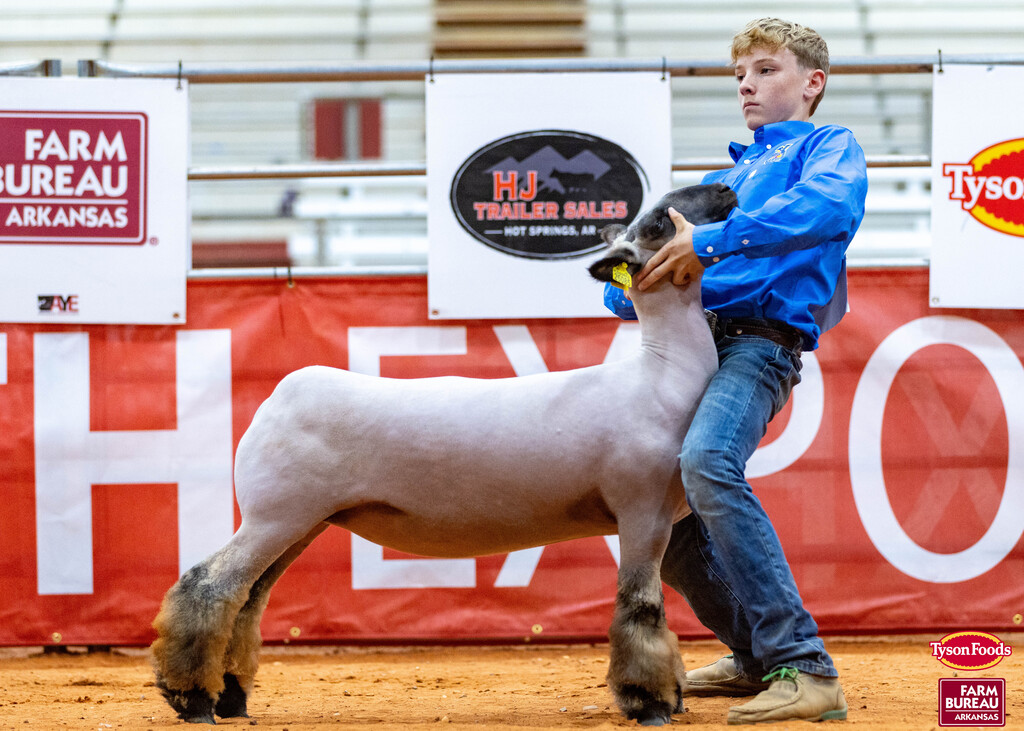 A boy wearing a blue coat holds a sheep while performing at an event. Behind him, banners and a red banner with white text are displayed.