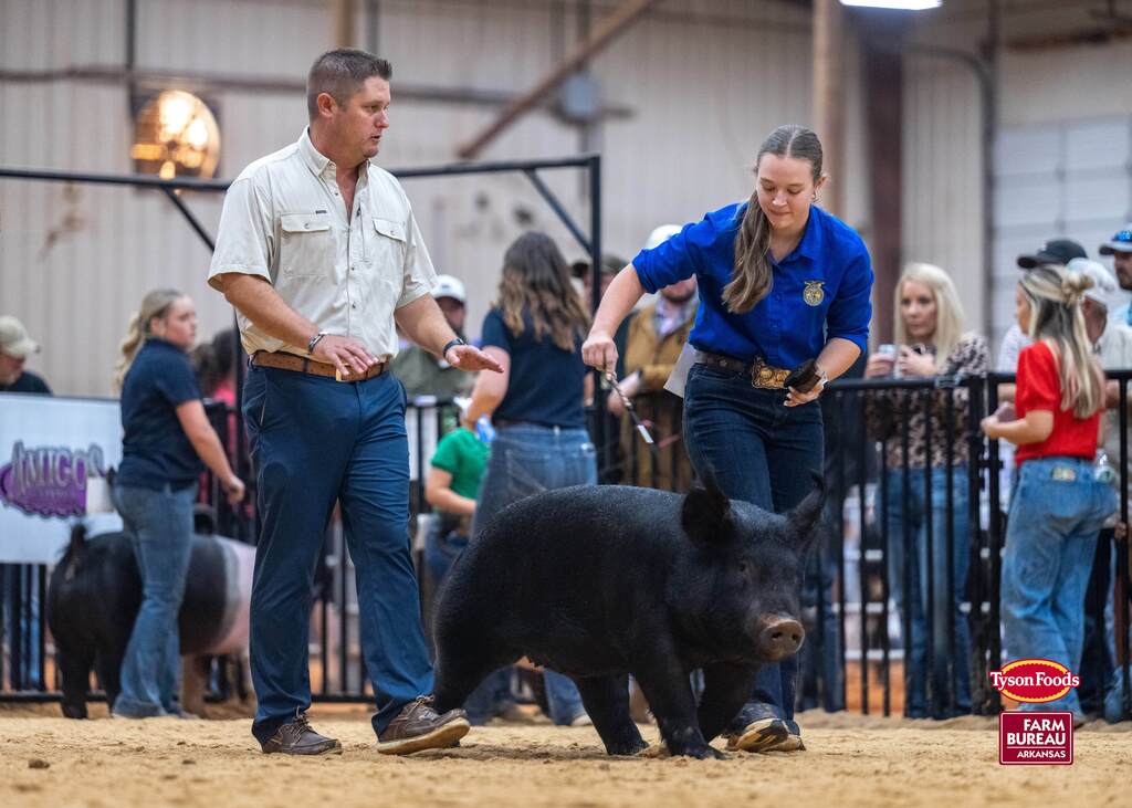 Two people in a ring, one leading a black pig. Other people observe from behind a fence.