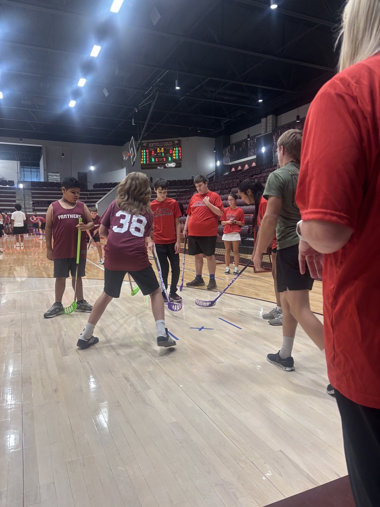 Several individuals wearing sports jerseys are playing lacrosse on an indoor court, while others observe from the sidelines.