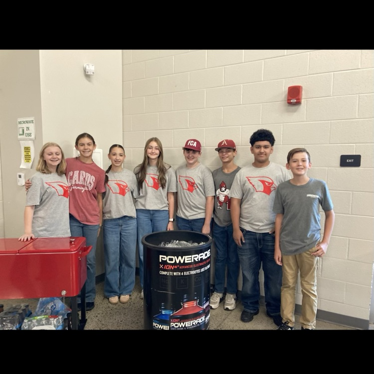 Cardinal Ambassadors 