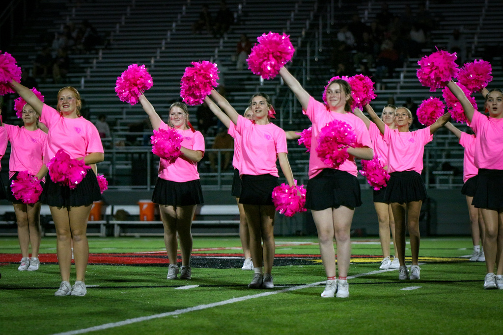 cheer on the field