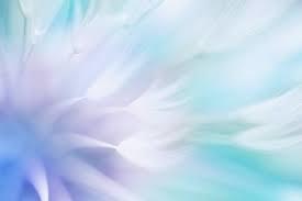 blue, green , purple calm colors