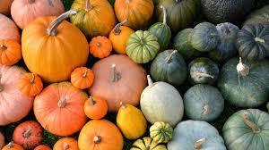 pumpkins