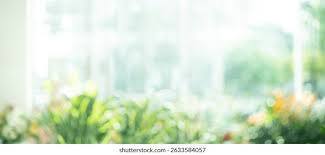 sunny window