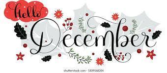 Hello December and berries