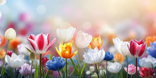 Spring flowers