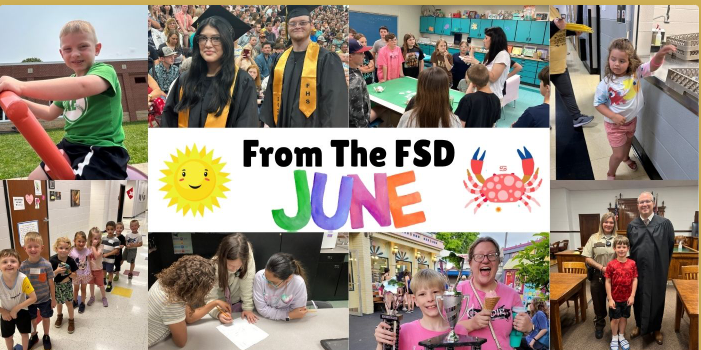 From The FSD June 2025